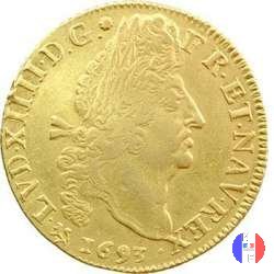 Doppio Luigi d'oro ai 4 L 1693 (Rennes)