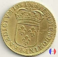 Doppio Luigi d'oro allo scudo 1691 (Toulouse)