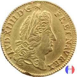 Luigi d'oro allo scudo 1691 (Rouen)