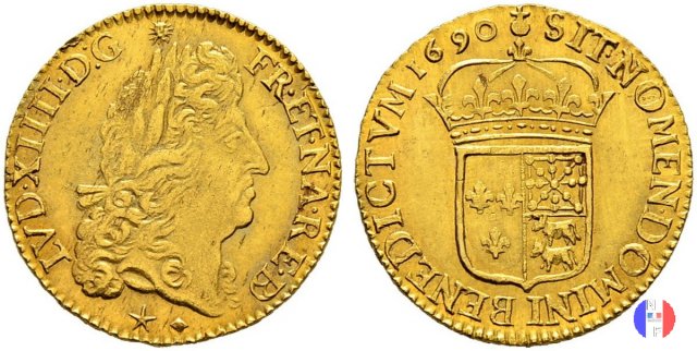 Luigi d'oro allo scudo di Béarn 1690 (Pau)