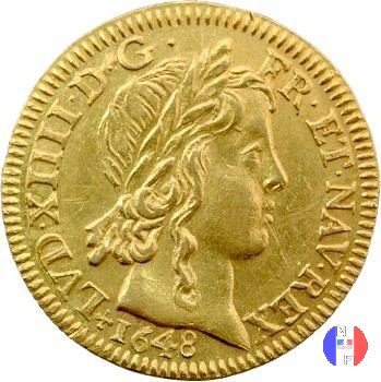 Luigi d'oro mèche longue dal 1646 al 1652 1648 (Angers)